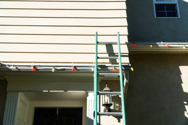 Best Siding for Commercial Buildings  in Daisetta, TX