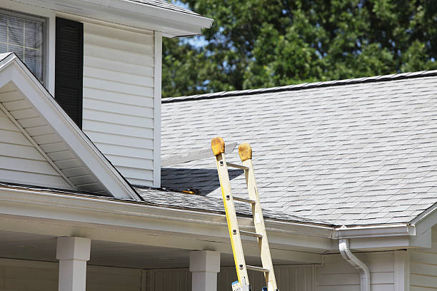 Best Storm Damage Siding Repair  in Daisetta, TX