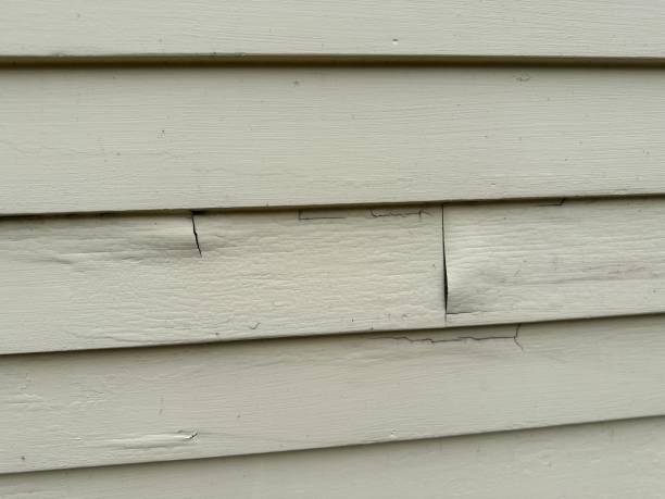 Reliable Daisetta, TX Siding Solutions