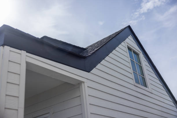 Best Insulated Siding Installation  in Daisetta, TX